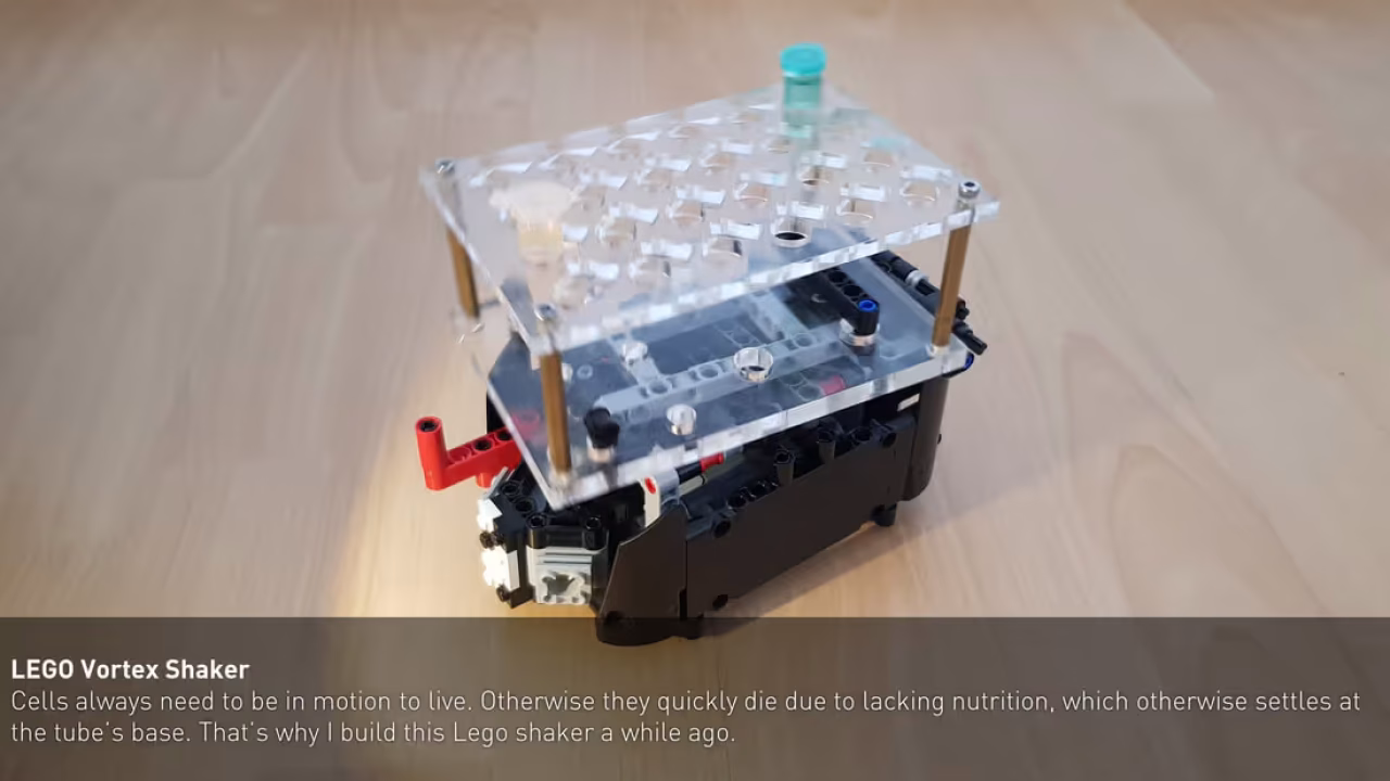 618e7aab0614ff84ef227f89_diy-lego-shaker_orig