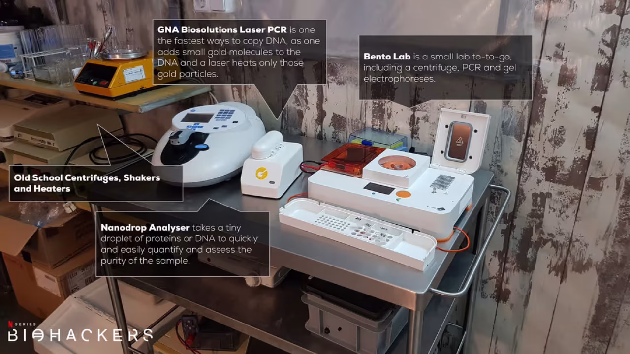 618e7aabf7f1e216d3b62113_diy-bento-lab-and-others_orig