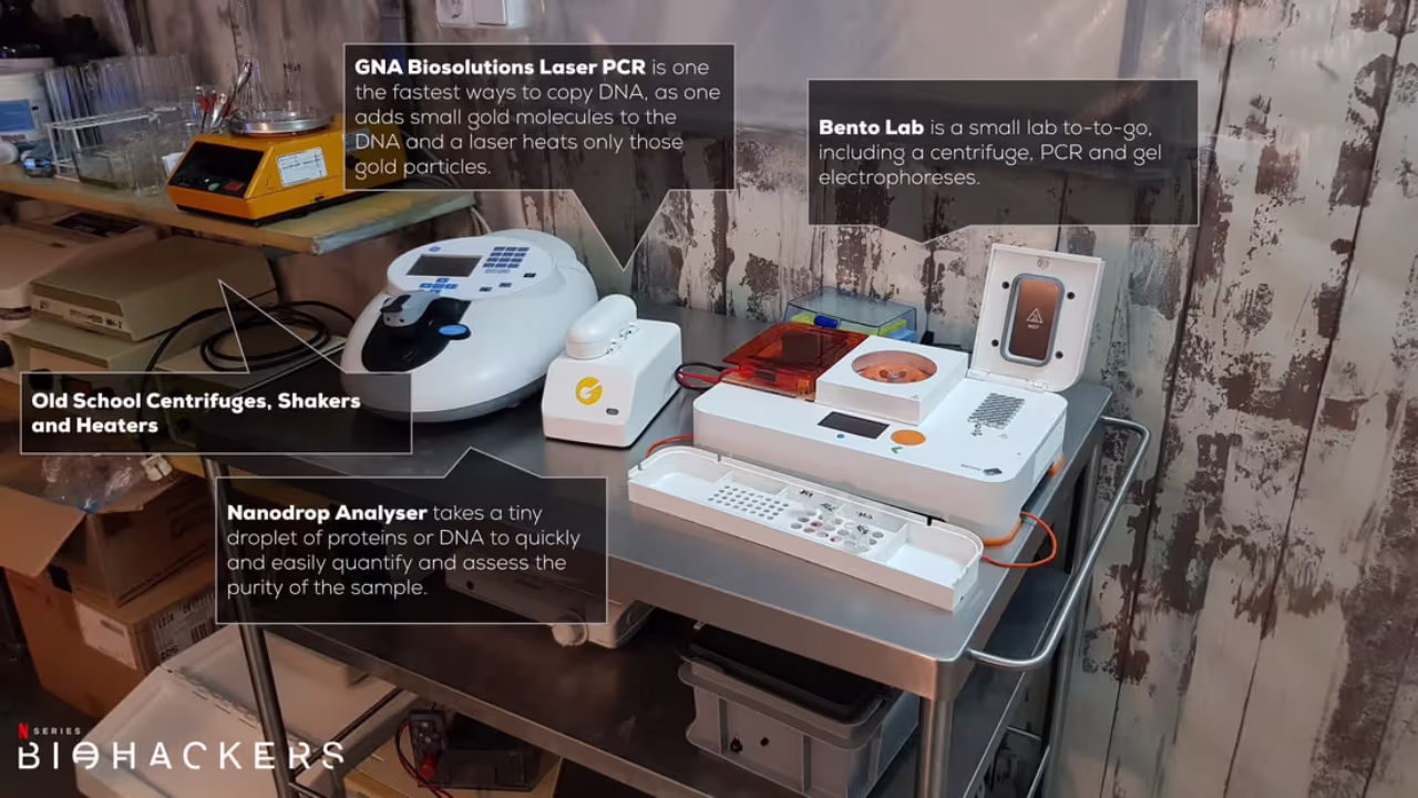 618e7aabf7f1e216d3b62113_diy-bento-lab-and-others_orig