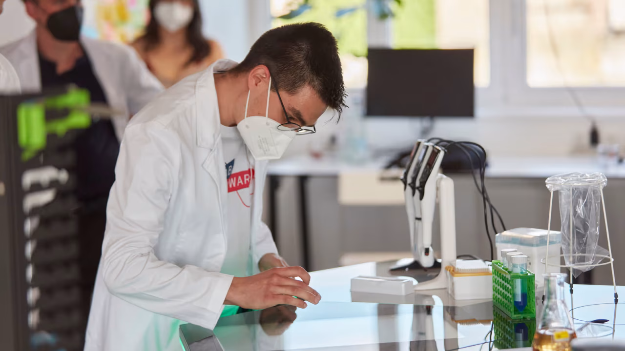 619ff8805befb736b0ddb37f_355_IMG_5807