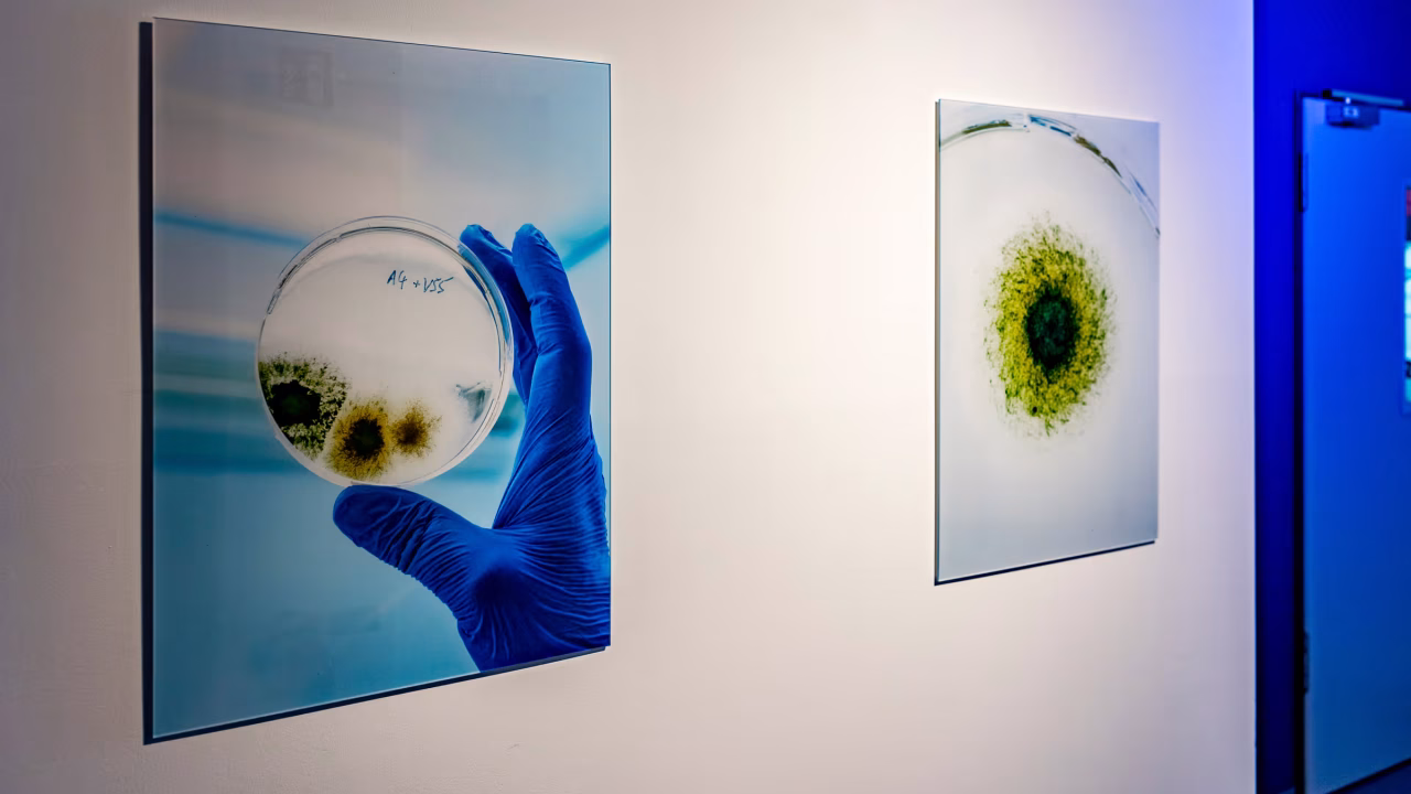 62b3d416aed68e11e36e7e6c_SLA_FORMO_grossaufnahmen_de-2-17