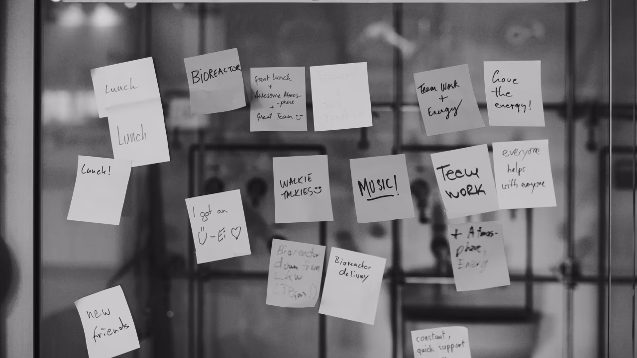 62b3dddd47a2fa0aa6da2125_SLA_FORMO_grossaufnahmen_de-6012