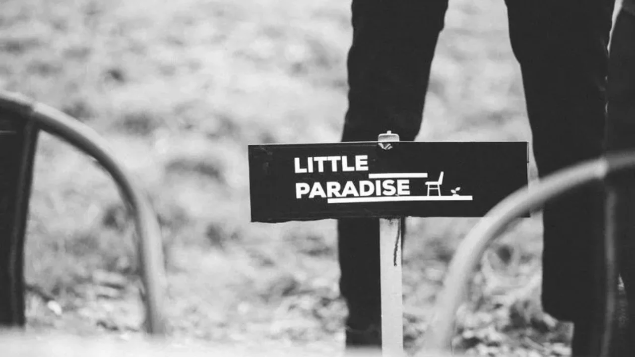 62b3dde9f78ad22c9603ae67_SLA_FORMO_grossaufnahmen_de-7515-p-800