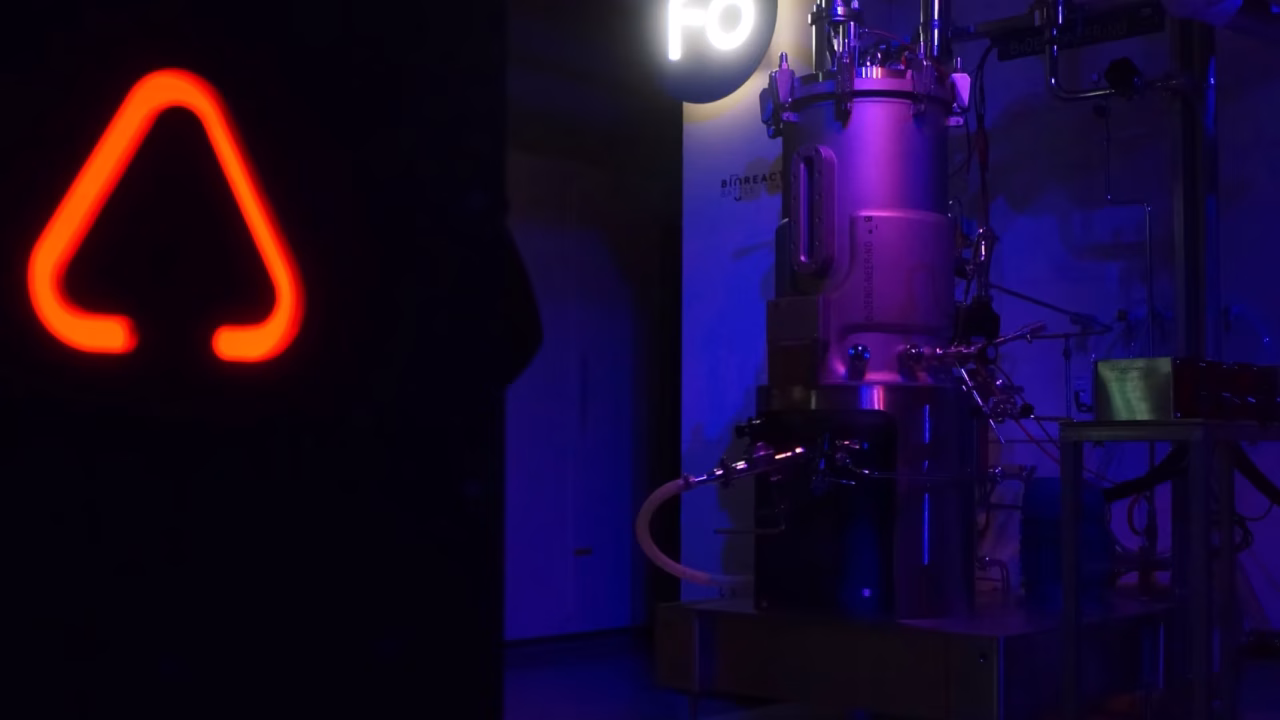 62b3ddf807e65f90a2cc99e1_DSC04695