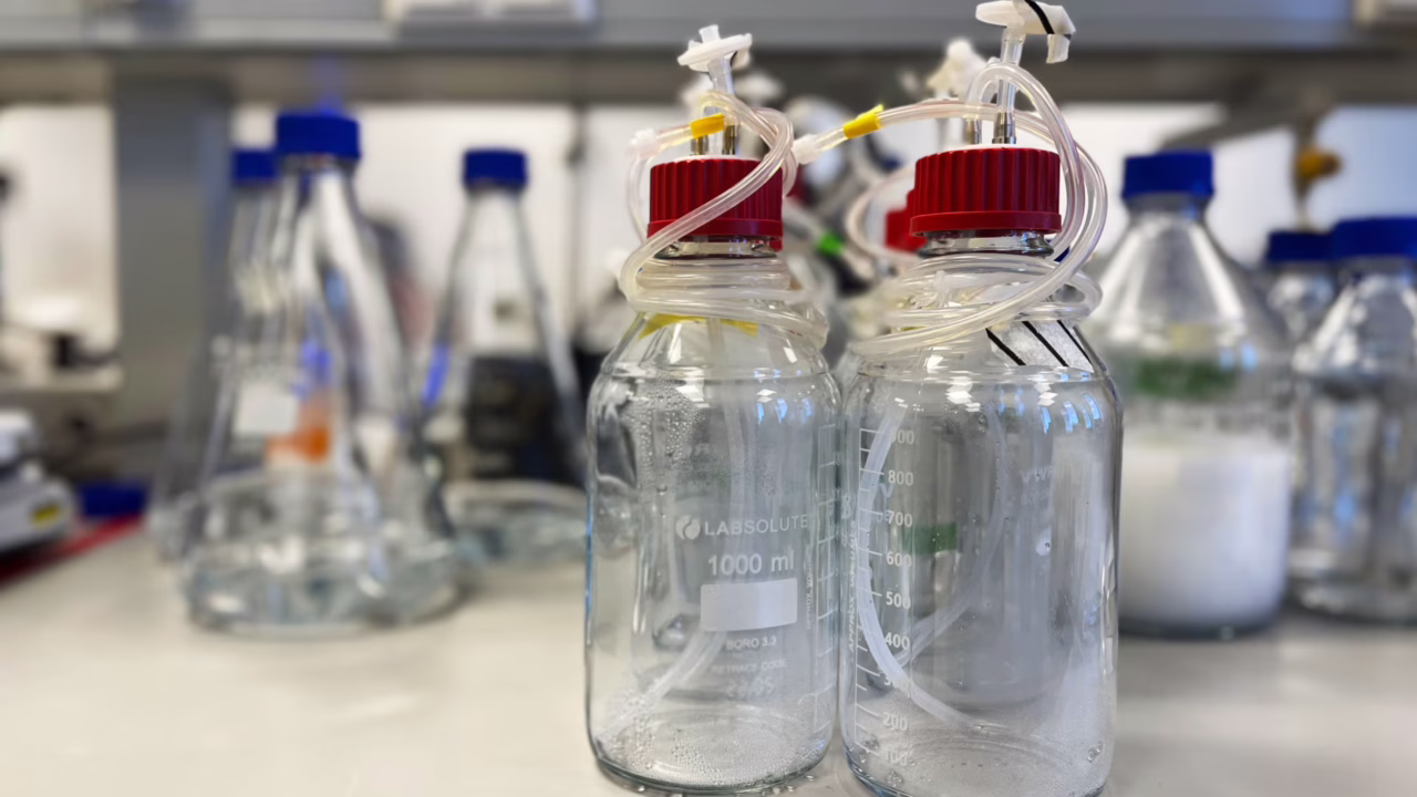 643ea3e4331cce2641ad4a47_SLA_Farmless_Lab_Closeup1