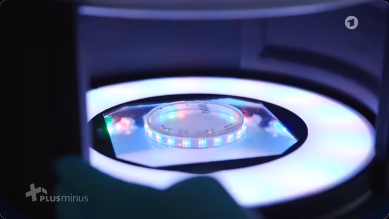 6553ceef8d118ba8e5c842bc_invitrisplusminus_rounded