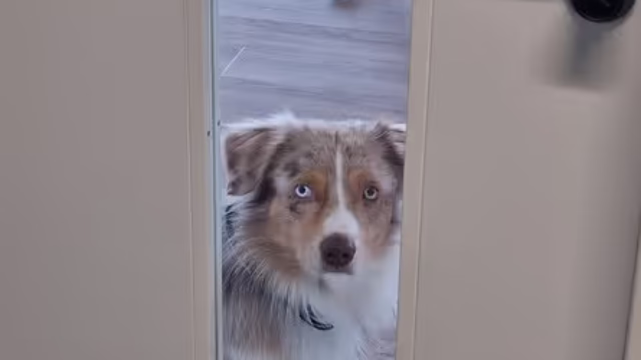 664206103d1fa57c1521024a_20240322_140830