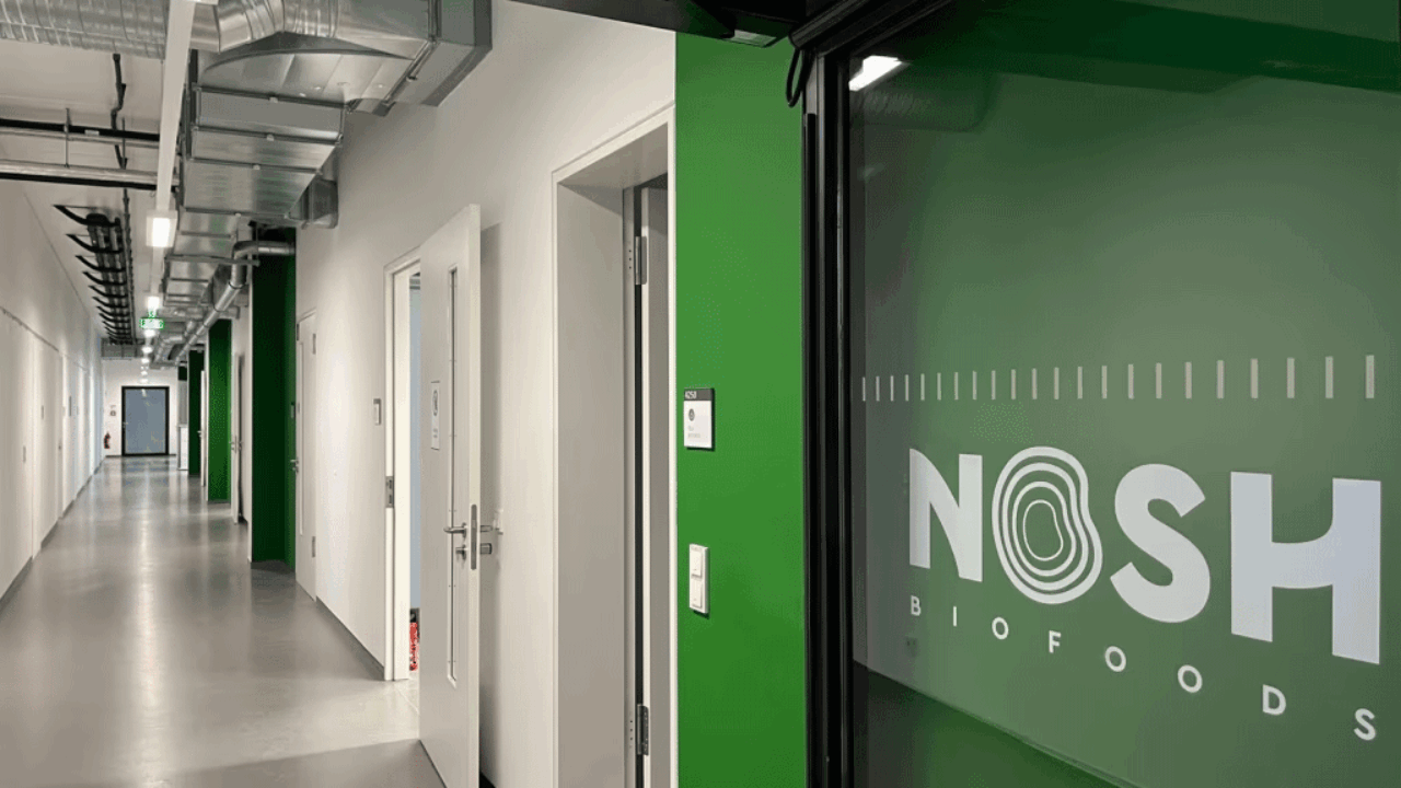 66436542f066651e387b97e0_1.-IMG_2384-Edited-1024x768