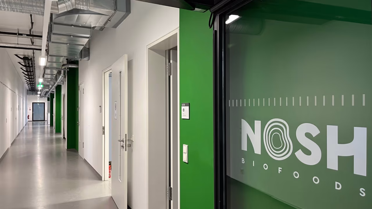 66436542f066651e387b97e0_1. IMG_2384 - Edited