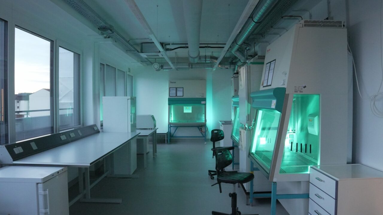 67d17ce3530f2ddfb14a5132_DSC00520