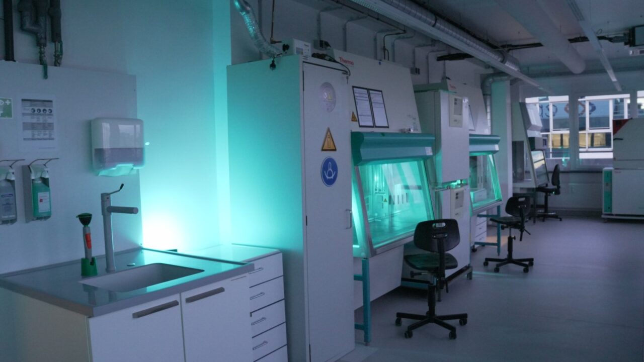 67d17ce3821382adef1a9ab6_DSC00532