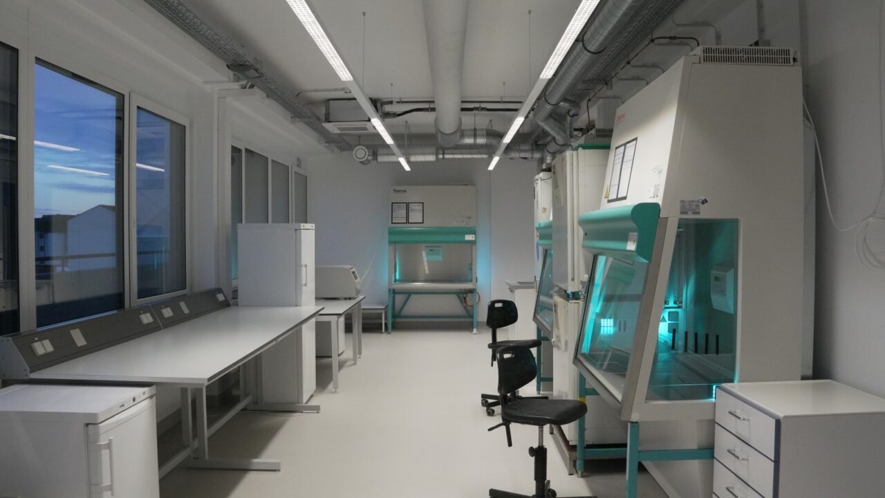 67d17ce38bc2680ca0a758ee_DSC00522